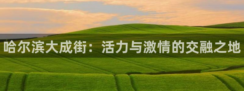 77体育app下载官网：哈尔滨大成街：活力与激情的交融之地