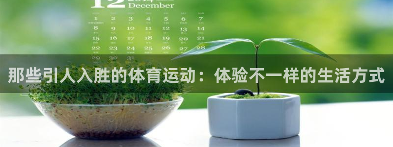 77体育：那些引人入胜的体育运动：体验不一样的生活方式