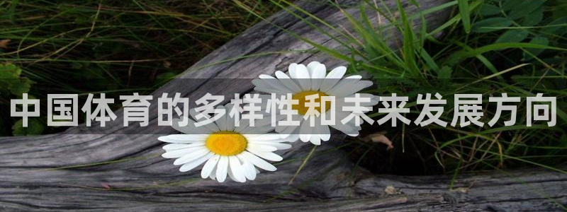 皇冠277体育：中国体育的多样性和未来发展方向