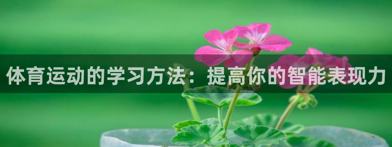 77体育app下载官网：体育运动的学习方法：提高你的智能表现力