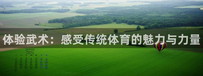 77体育：体验武术：感受传统体育的魅力与力量