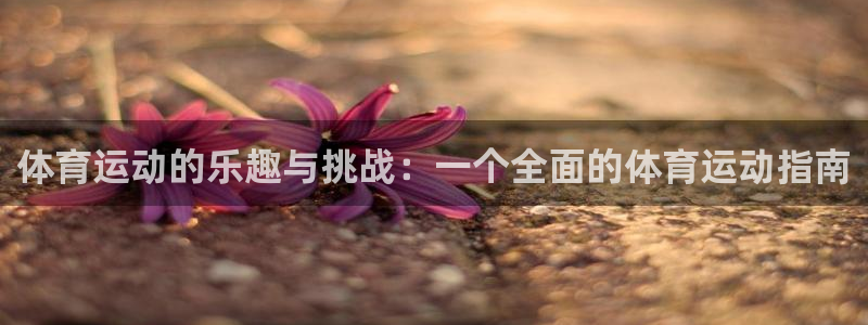 77体育：体育运动的乐趣与挑战：一个全面的体育运动指南