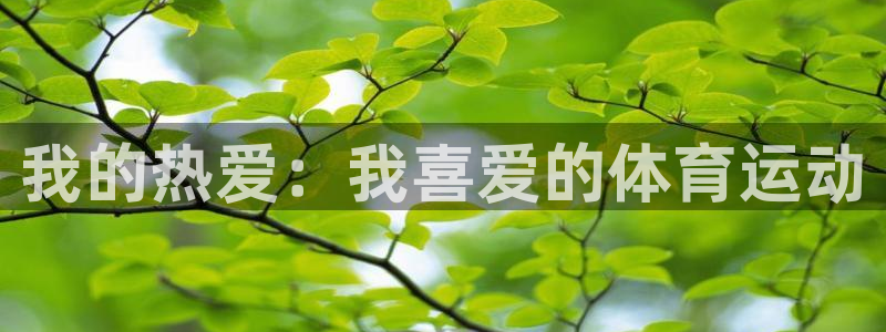 77体育app下载官网：我的热爱：我喜爱的体育运动