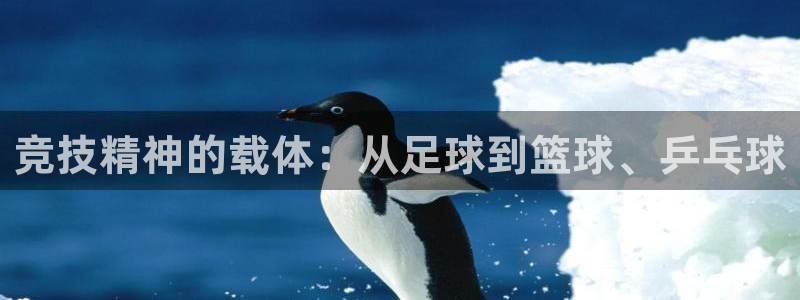 77体育官网：竞技精神的载体：从足球到篮球、乒乓球