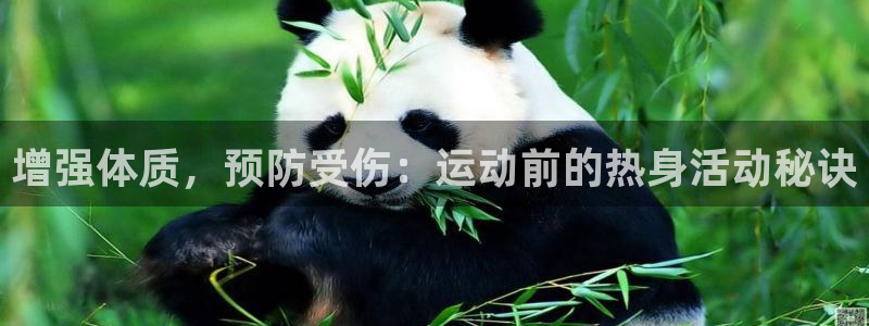 77体育app下载官网：增强体质，预防受伤：运动前的热身活动秘诀